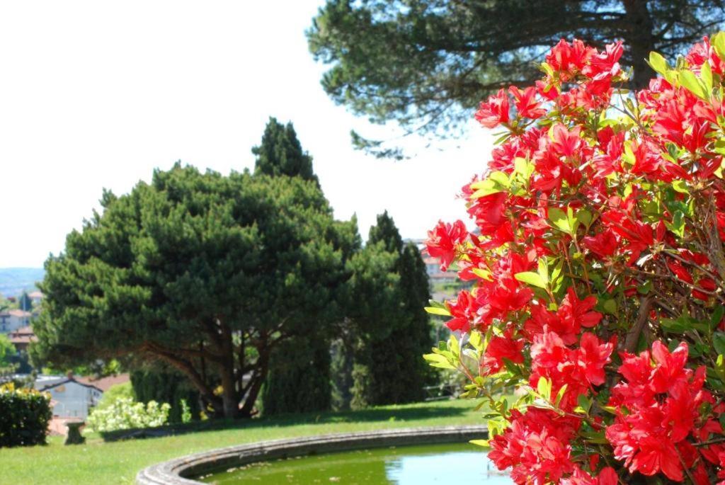Villa Rossini Tavernerio Eksteriør bilde